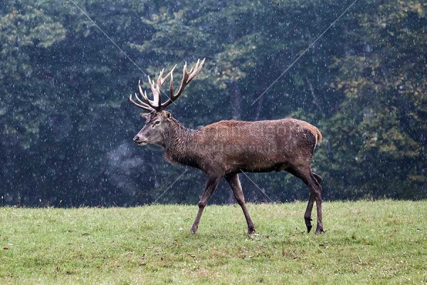 Klikni za ogled večje slike